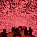 Nabana no Sato Winter Light Festival Japan 2022