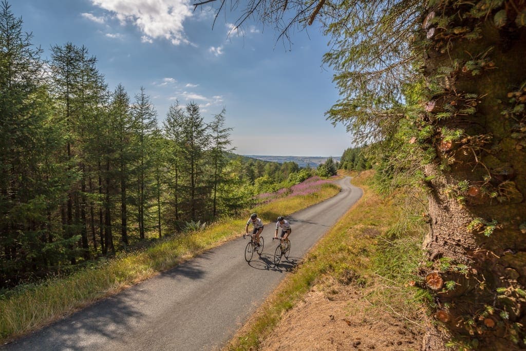 Biking in Brechfa Forest