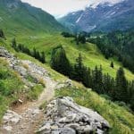 Hiking in the Jungfrau Swiss Alps with Sherlock
