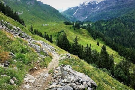 Hiking in the Jungfrau Swiss Alps with Sherlock