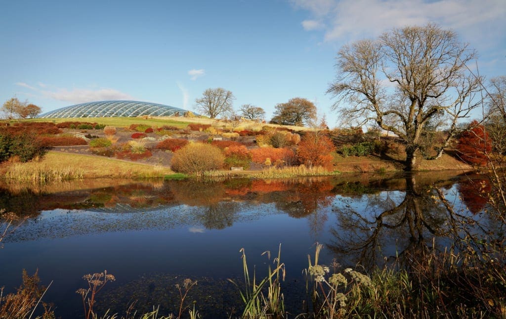 Autumnal Adventures in Carmarthenshire