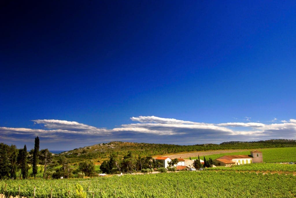 The vineyards of Languedoc, c. Gilles Deschamps