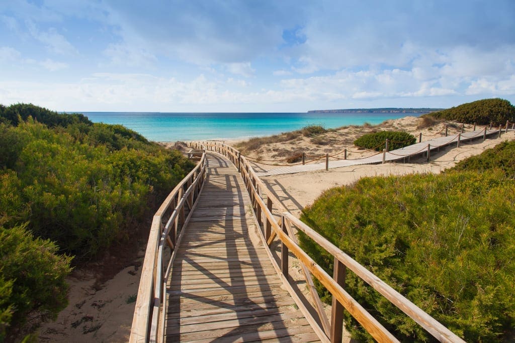 Wooden walkways help preserve Formentera's sand dunes
