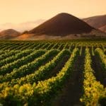 Think Outside the Box on a California Wine Trip