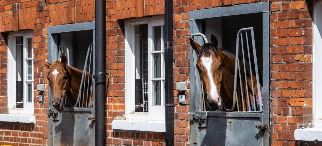 A friendly welcome at the Newmarket races