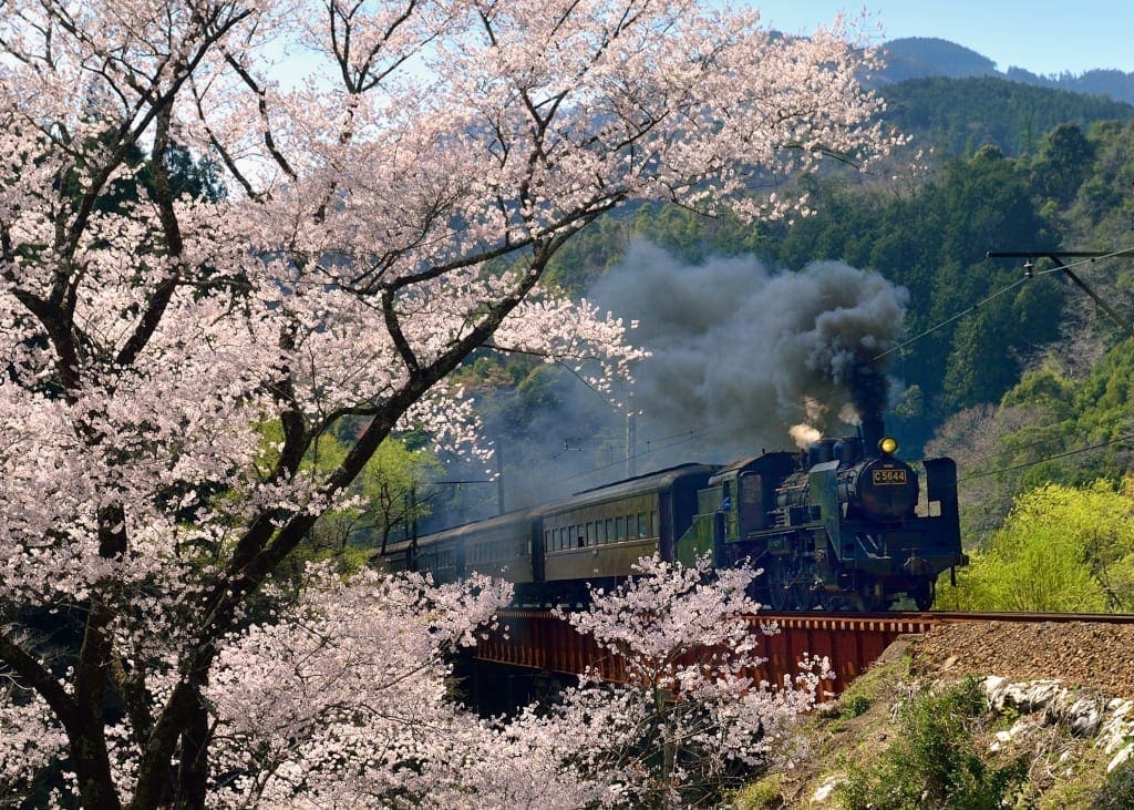 Oigawa Railway