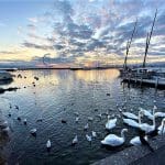 Cultural Things to Do in Lausanne Switzerland