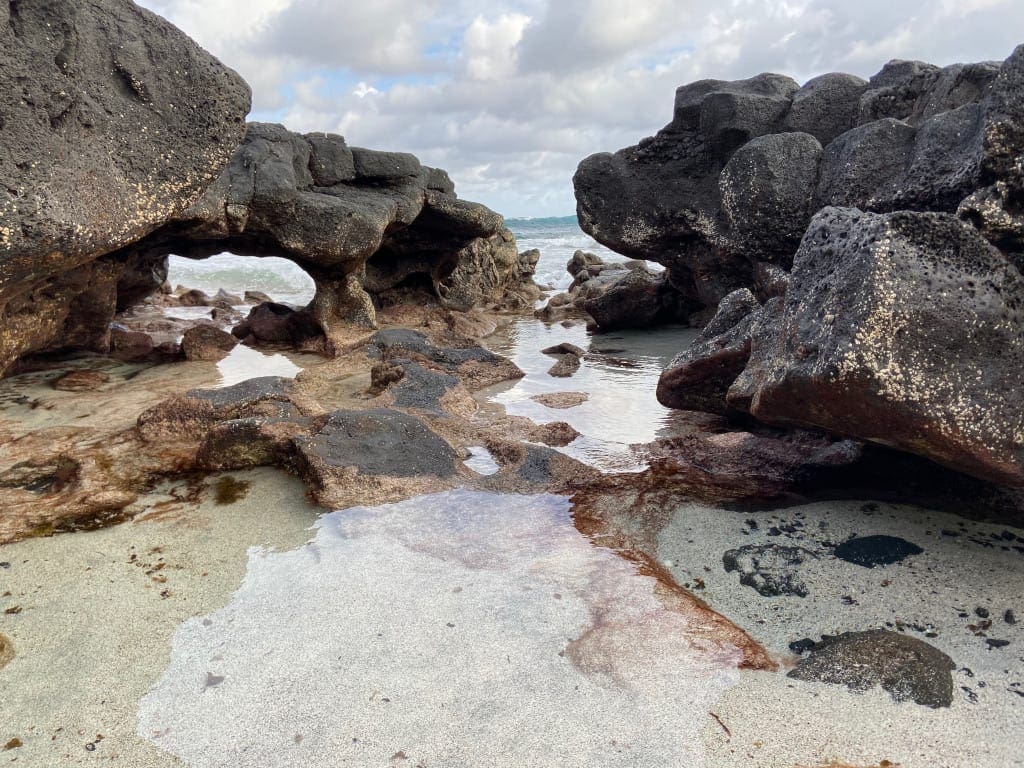 Lanzarote A rock pool on the walk north of village.