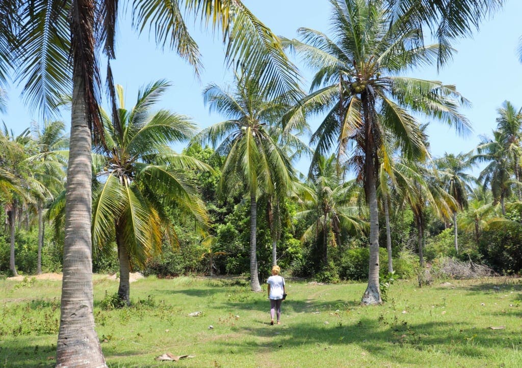 Away from the beach Karimunjawa is still deserted.