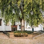 A Day and a Night in Kortrijk, Belgium