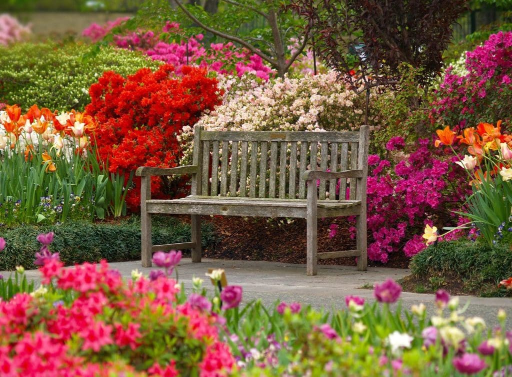 Dallas Blooms 2025, Dallas Texas, USA Travel Begins at 40