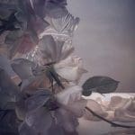 Nick Knight Saturday 13th May, 2017 Hand-coated pigment print © Nick Knight Courtesy of the Artist and Albion Barn