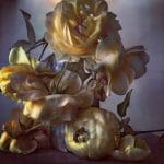 Nick Knight Saturday 24th October, 2015 Hand-coated pigment print © Nick Knight Courtesy of the Artist and Albion Barn