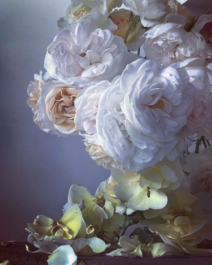 roses