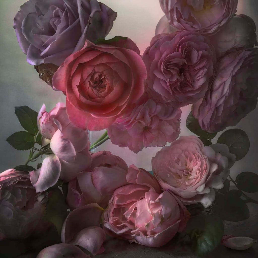 roses