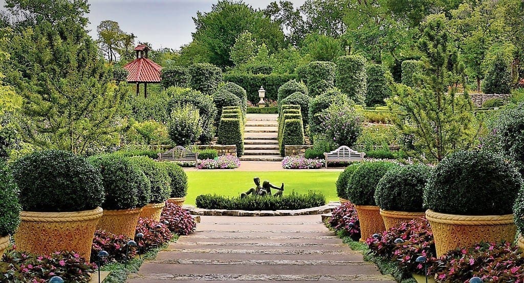 Dallas Blooms