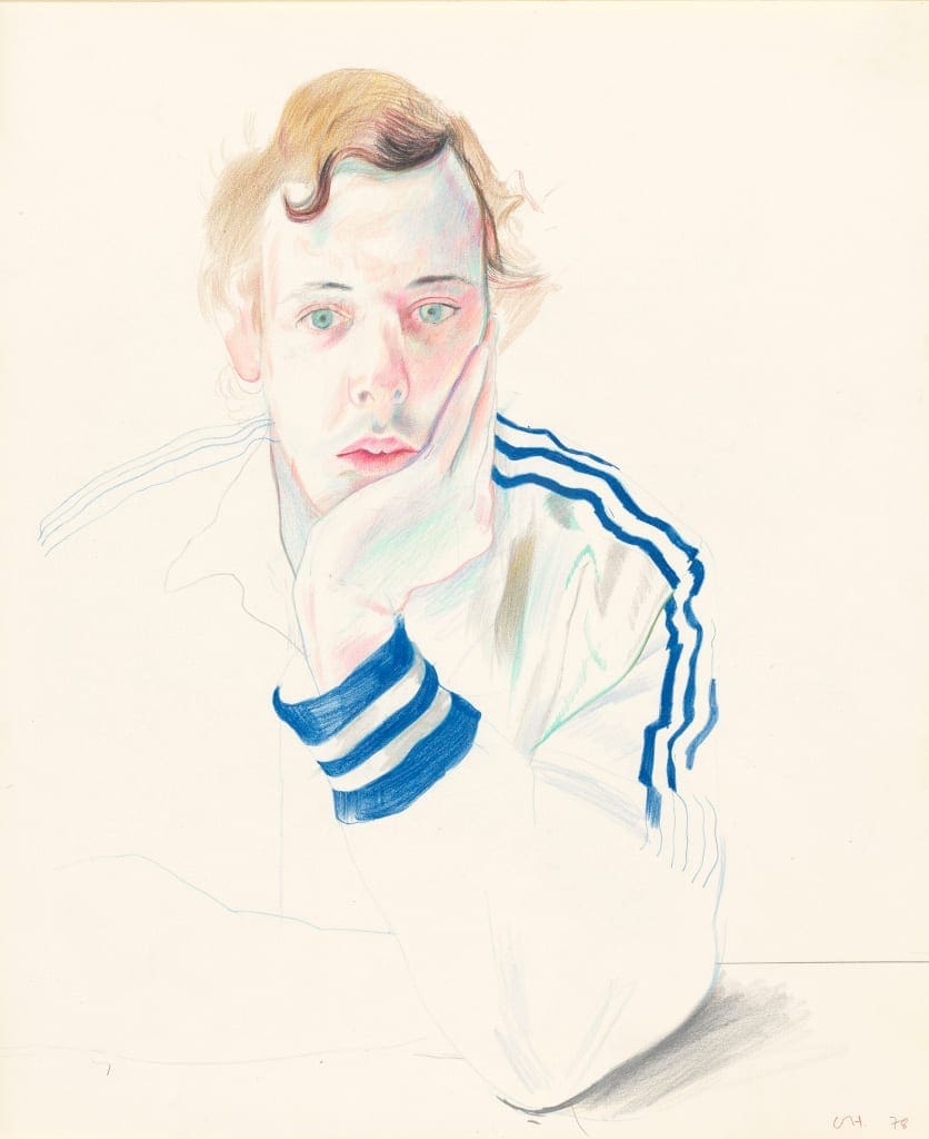 David Hockney "Gregory" 1978 Colored pencil on paper 17 x 14" © David Hockney Photo Credit: Richard Schmidt Collection The David Hockney Foundation