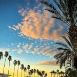 16 Virtual Tours for Your Coronacation