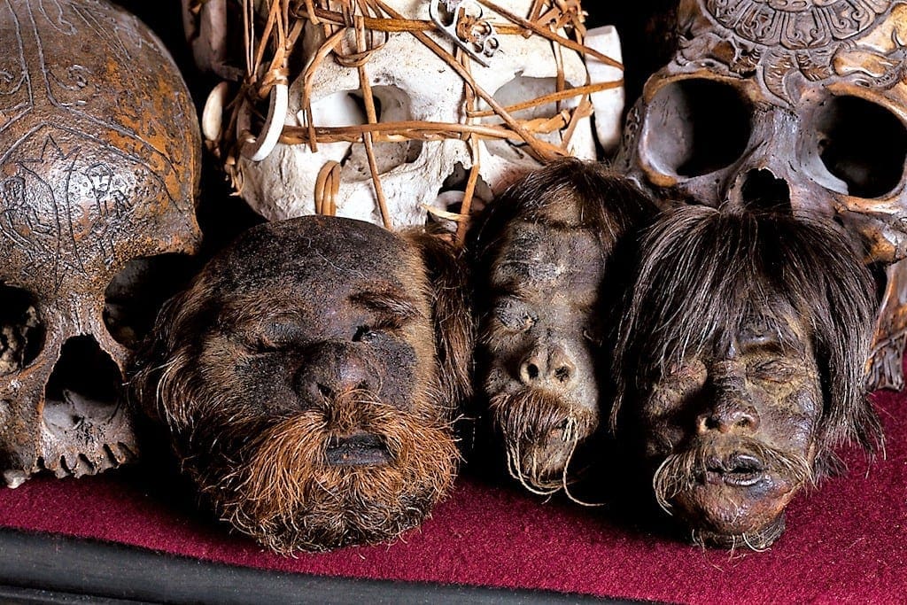 Shrunken Heads