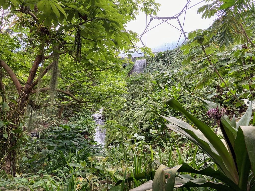 Tropical Biome Eden Project