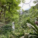Tropical Biome Eden Project