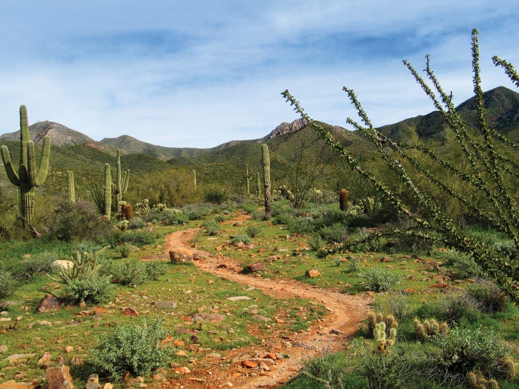 Gateway entrance, the Bajada Nature Trail © Scott McGinty for Experience Scottsdale (2)