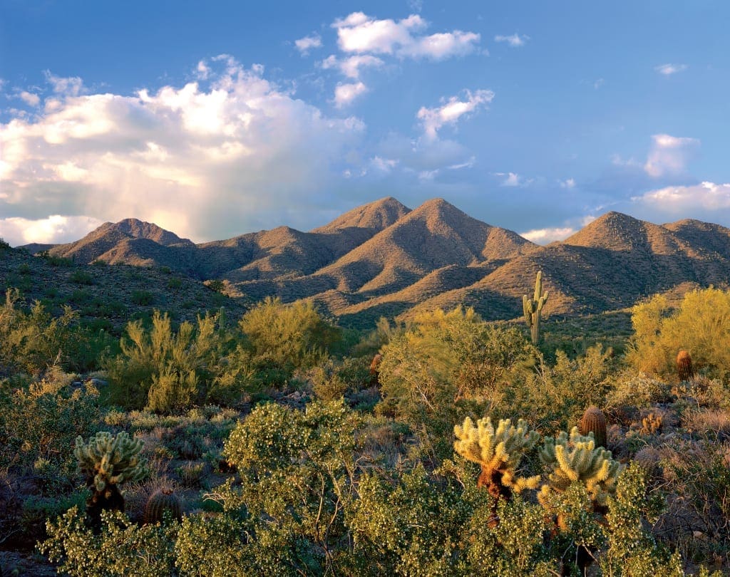 Scottsdale's McDowell Mountains