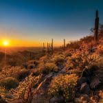 Five Best Hikes in Scottsdale Arizona