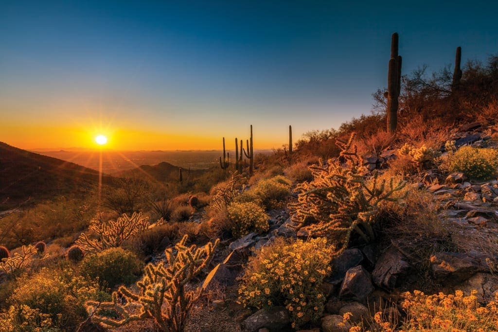 Scottsdale's McDowell Sonoran Preserve at sunset