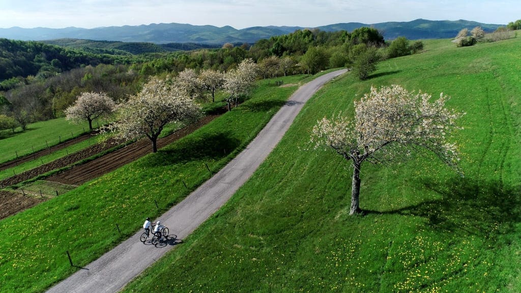 Mahorčič Brkini region