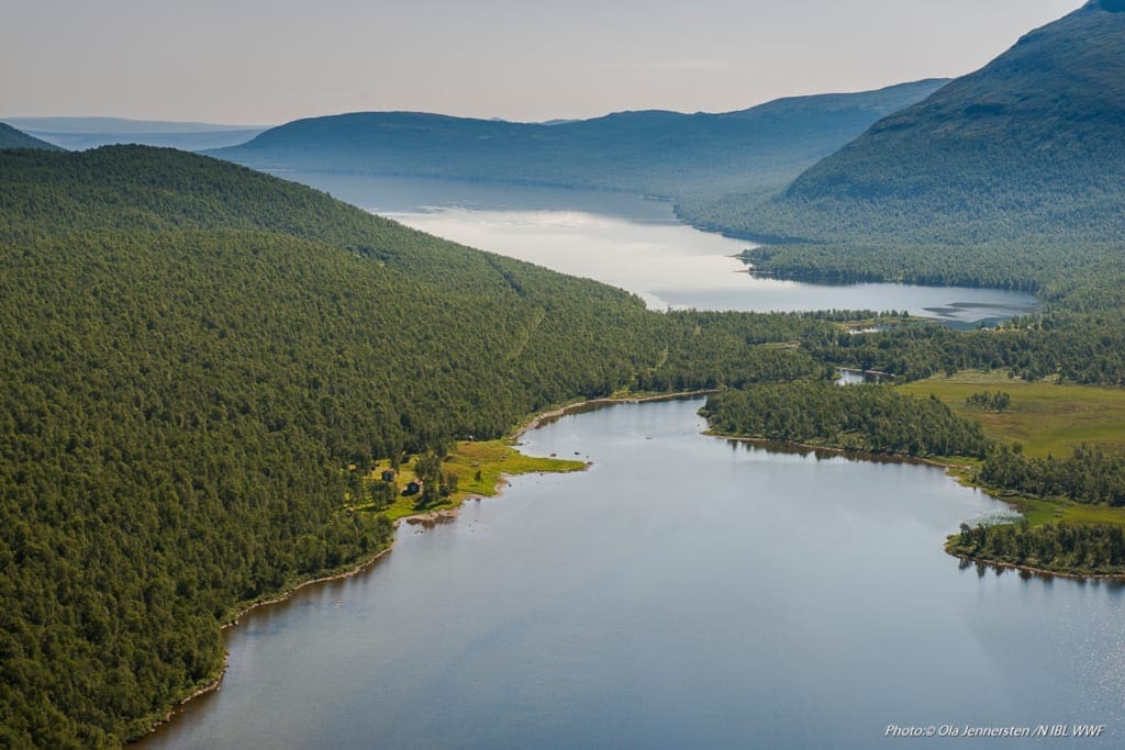 Geunja-Sami-ecolodge-photo-Ola-Jennersten-WWF