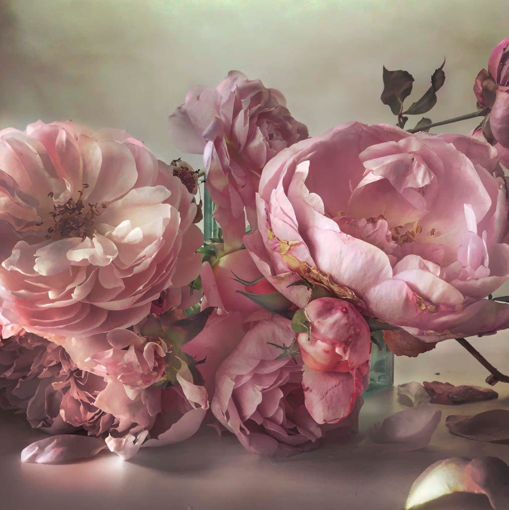 Nick Knight Sunday 11th October, 2015 Hand-coated pigment print © Nick Knight Courtesy of the Artist and Albion Barn (1)