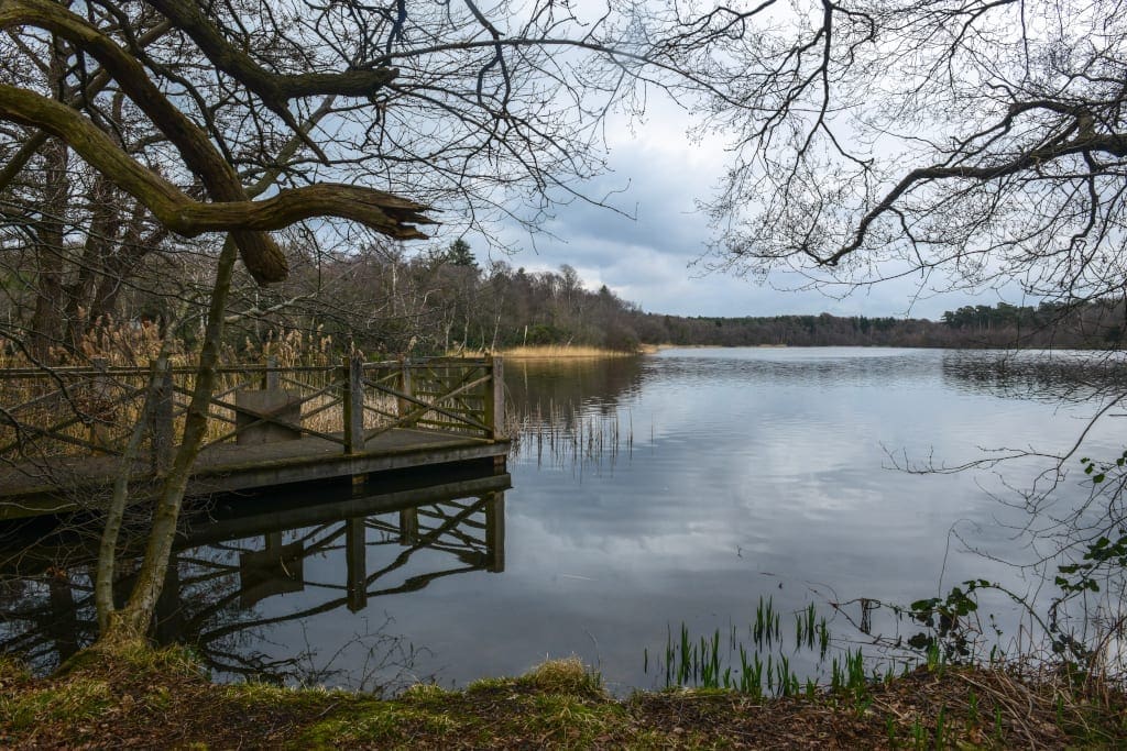 Fritton Lake