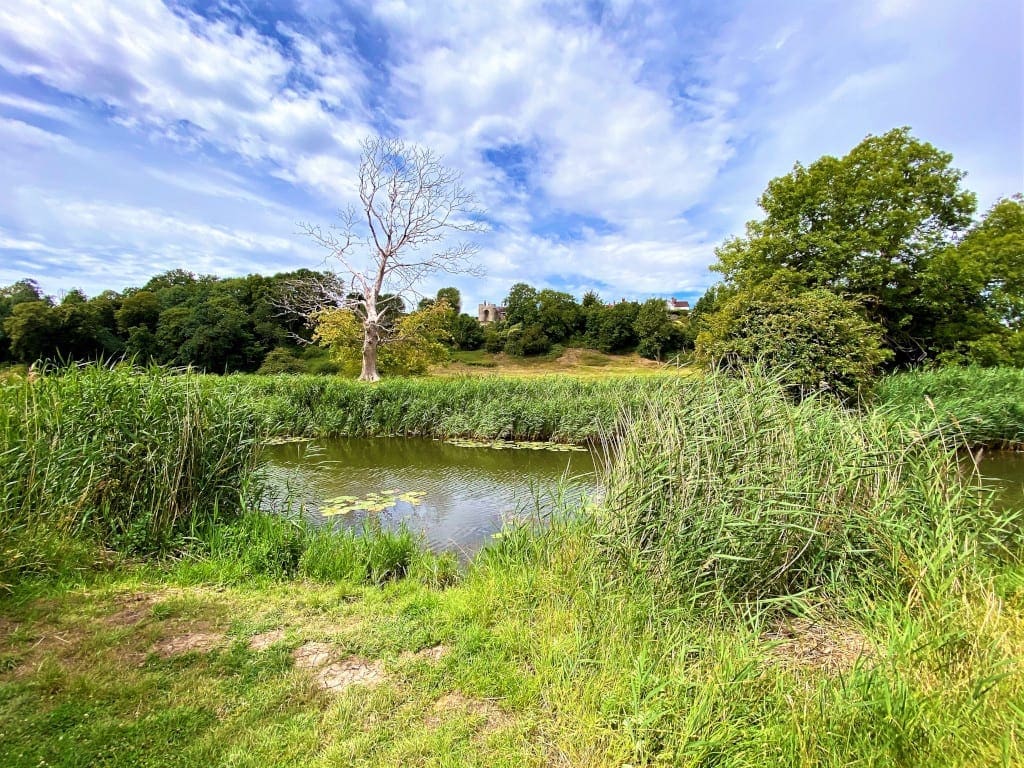 1066 Country Walk 