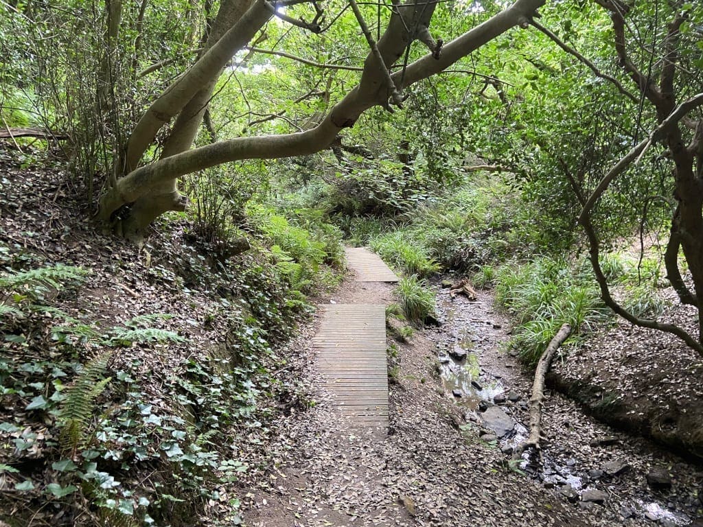 Hastings Country Park 1066 Country Walk