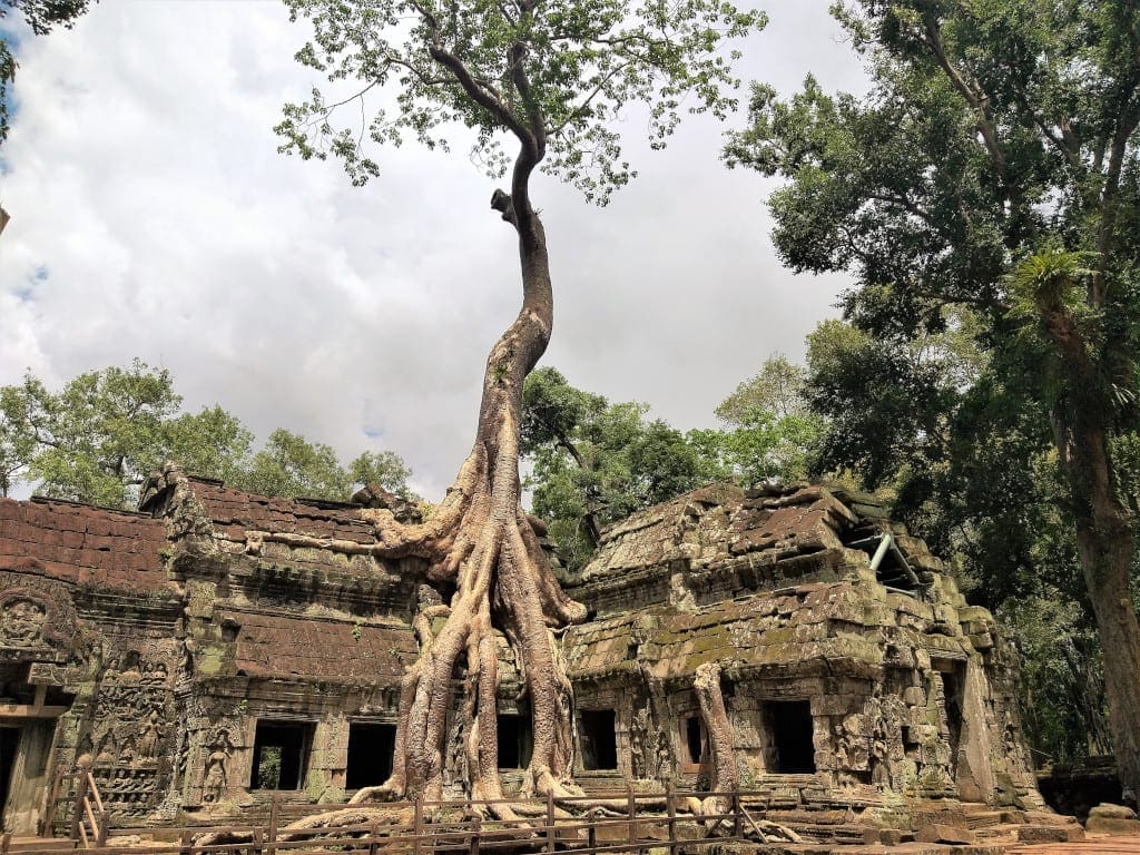 Ta prohm