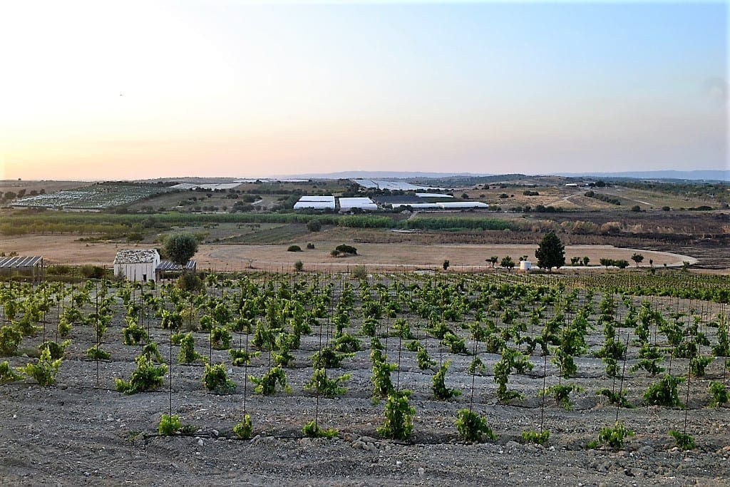 Kapuhala Sicily Heritage Farmstay