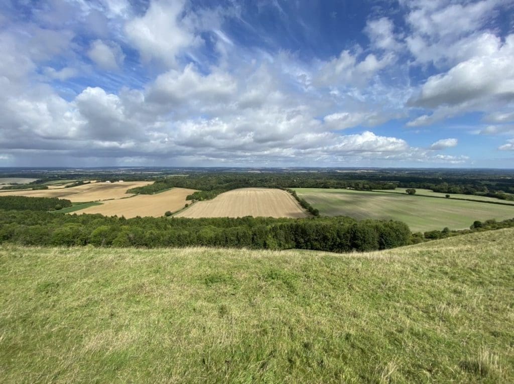 The view from Combe Hill