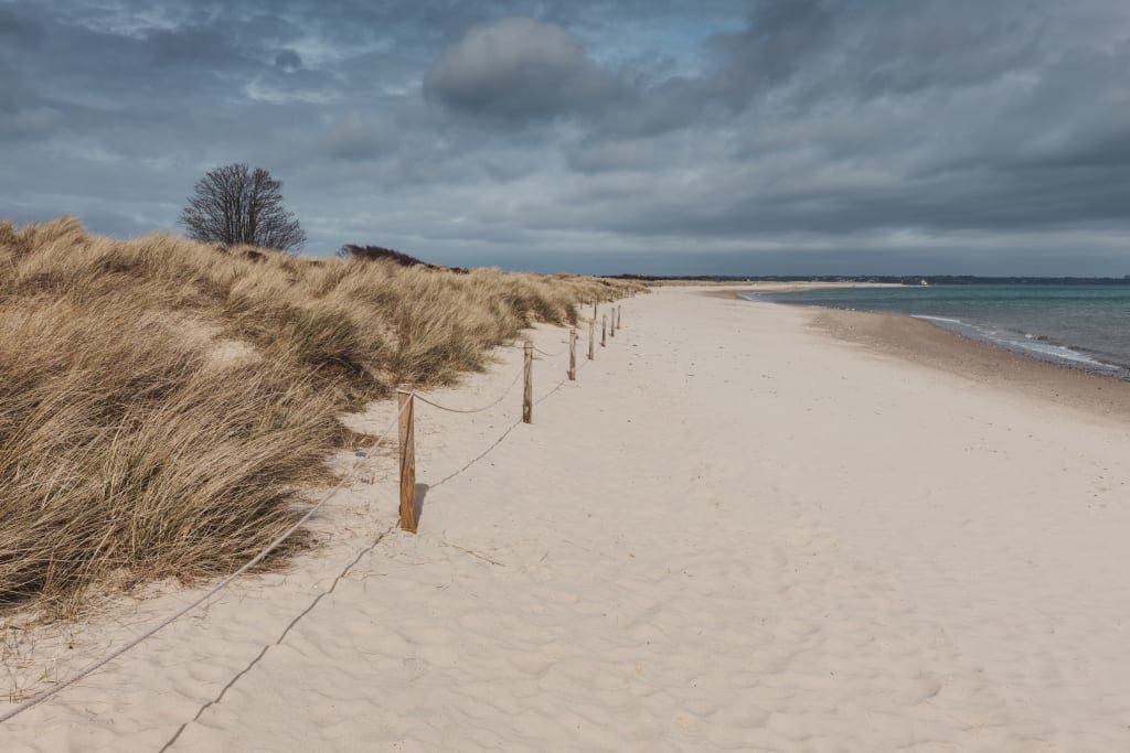 knoll-beach-credit-Tom Eversley-shutterstock