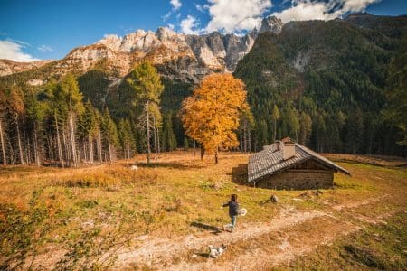 Foliage in Val Rendena foto Tommaso Prugnola