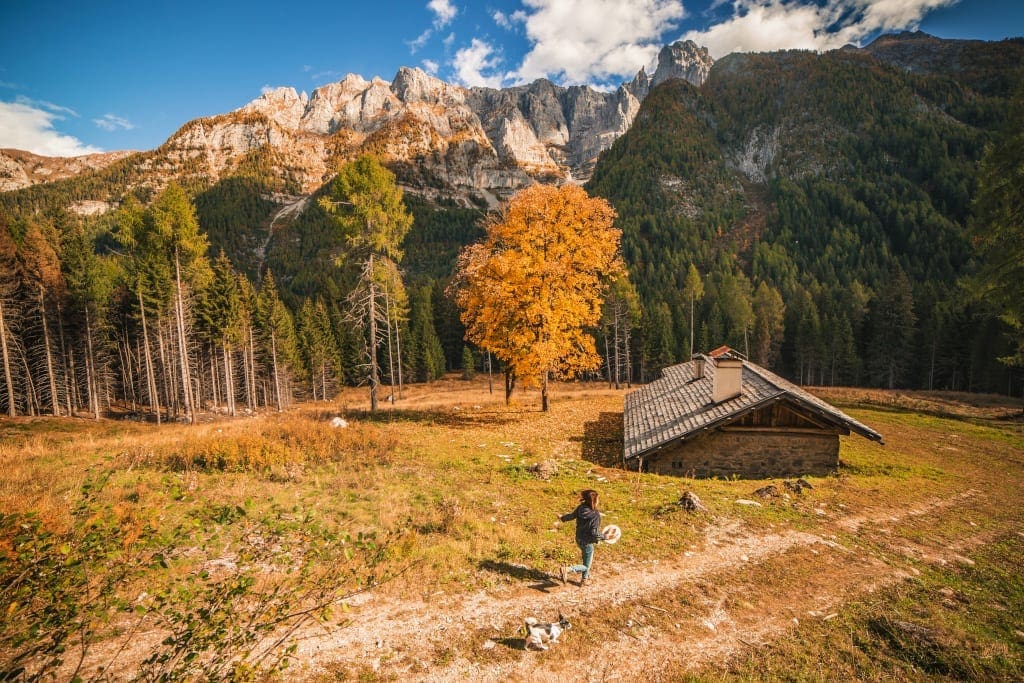 Foliage in Val Rendena foto Tommaso Prugnola