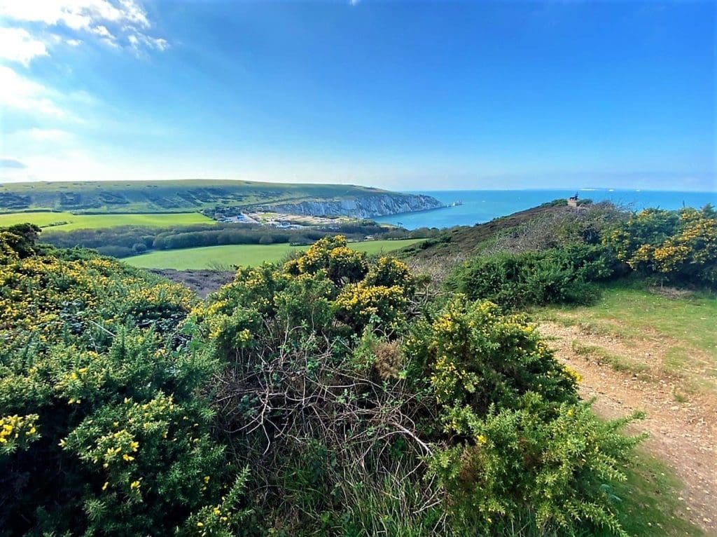 The view from Heddon Warren towards the Needles