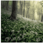Landscape Photographer of the Year 2020