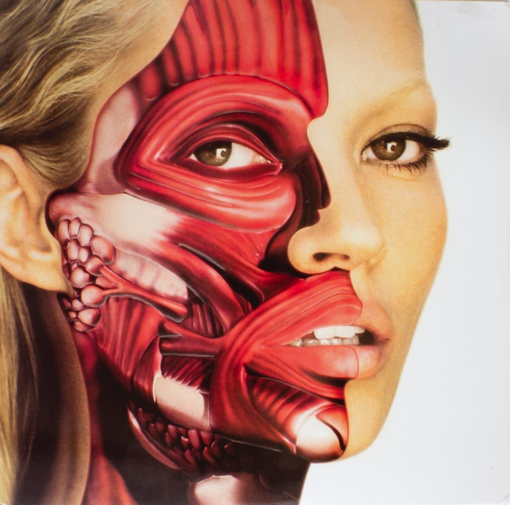 Danien Hirst - Kate Moss Record - image courtesy of John Brandler