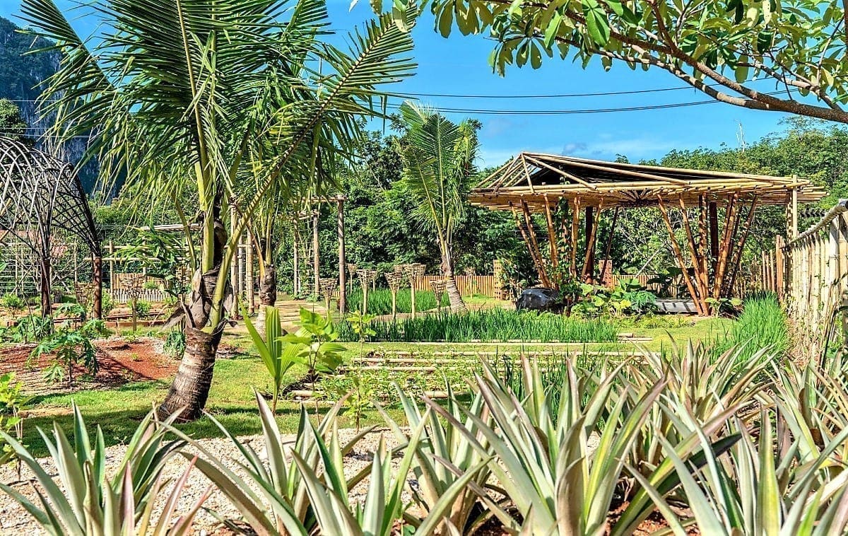 The Pavilions Anana Krabi Farm