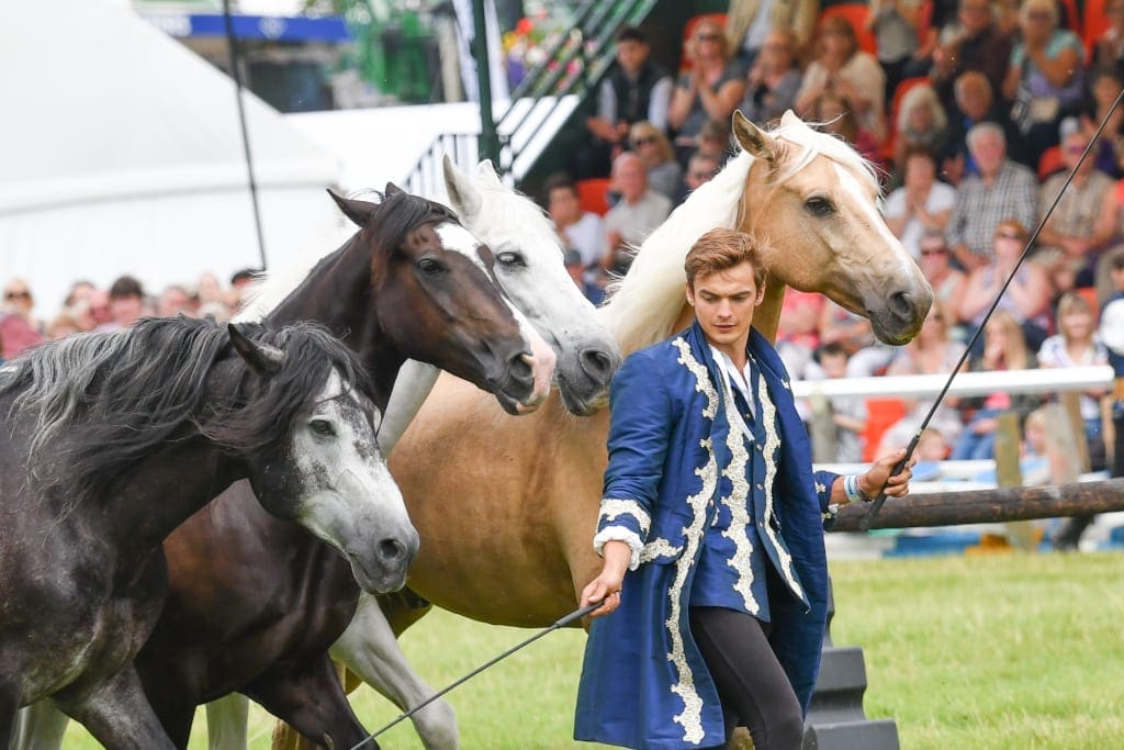 New Forest Show