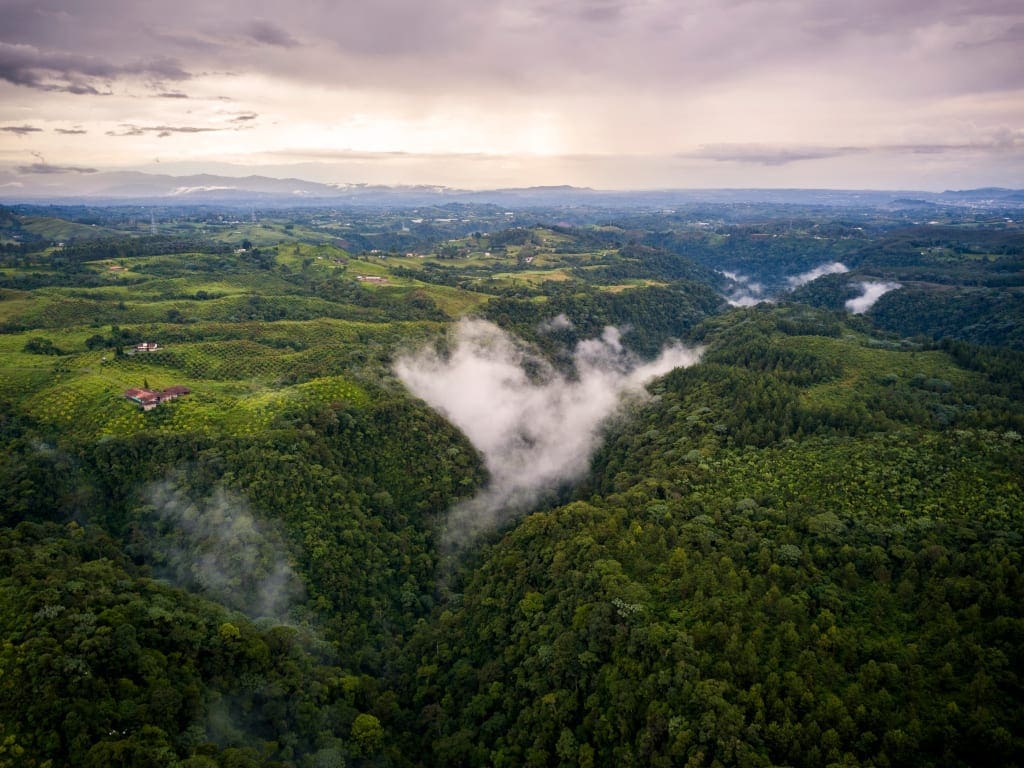 Colombia's Coffee Region Cultural Landscape