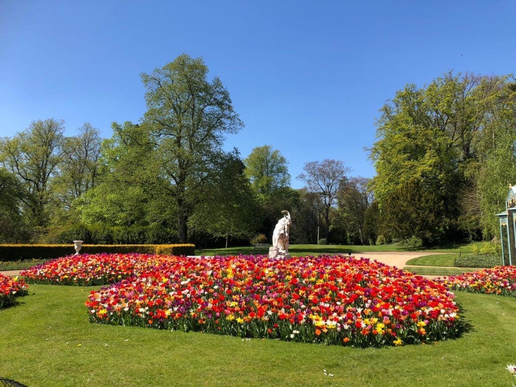 Aviary garden tulips. Waddesdon A Rothschild House & Gardens. Photo Victoria Lovatt Morris