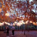 37. Bottle Festoon ​- Various locations Bottle Festoon​. Supported by County Durham Community Foundation, Hays Travel Foundation and St. Margaret’s Centre. Lumiere​ Durham 2019, produced by Artichoke.