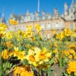 The Great Escape to Waddesdon Manor, Aylesbury